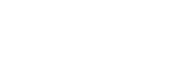 Gov Ball